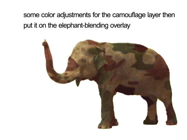 Creation of Camouflaged: Step 5